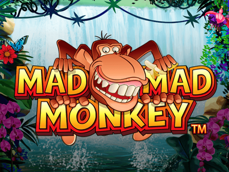 Free slots mad mad monkeys